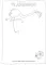 The Very Hungry Caterpillar's Animals Colouring Book 