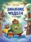 Зимние чудеса в кедровом лесу
