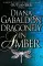 Dragonfly In Amber 