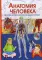 Анатомия человека. Детская иллюстрированная энциклопедия