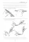 Topographic Anatomy and Operative Surgery. Workbook. In 2 parts. Part 1: на англ.яз