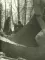 Светозапись Михаила Пришвина. 1930-е