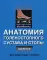 Анатомия голенностопного сустава и стопы. Цветной атлас МакМинна (обл.)