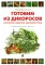 Готовим из дикоросов. Папоротники, водоросли, лишайники и грибы