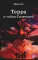 Терра и тайна созвездий. Кн. 1