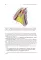 Topographic Anatomy and Operative Surgery: textbook: на англ.яз