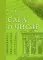 Сага о числе (мифы и заблуждения). Ч. 2: Развитие понятия числа в V–XVI вв