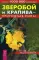 Зверобой и крапива - природная сила!