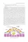 Internal Diseases: textbook. In 2 v. Vol. 1: на англ.языке. 4-е изд. перераб.